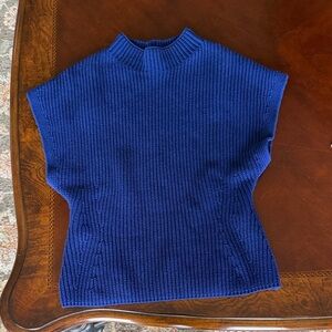 Banana Republic Royal Blue Knit Sweater